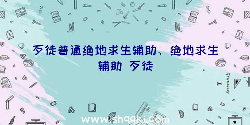 歹徒普通绝地求生辅助、绝地求生辅助